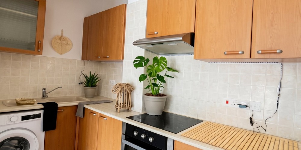 Furnished 1-bedroom apartment in Geroskipou, Paphos — photo 4