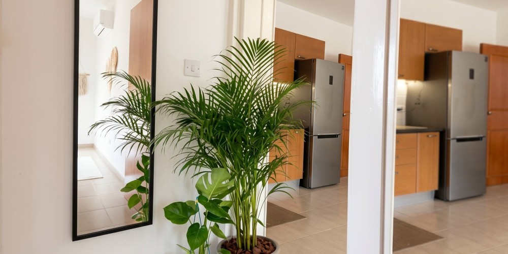 Top-floor 1-bedroom apartment in Geroskipou, Paphos — photo 6