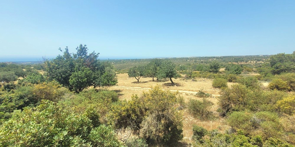 Villas and building plots with panoramic sea views in Souni, Limassol — photo 9