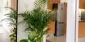 Top-floor 1-bedroom apartment in Geroskipou, Paphos — thumbnail 6