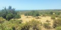 Villas and building plots with panoramic sea views in Souni, Limassol — thumbnail 9